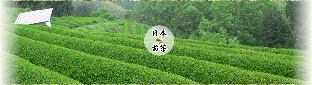 日本のお茶